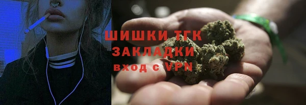 соль ск Кулебаки
