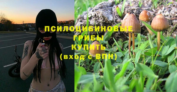 хмурый Санкт-Петербург