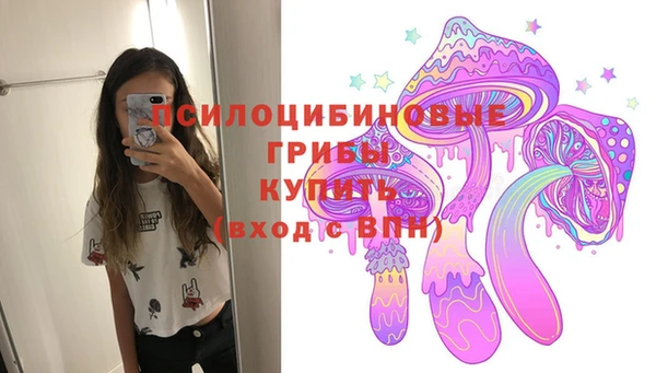 mix Лабытнанги