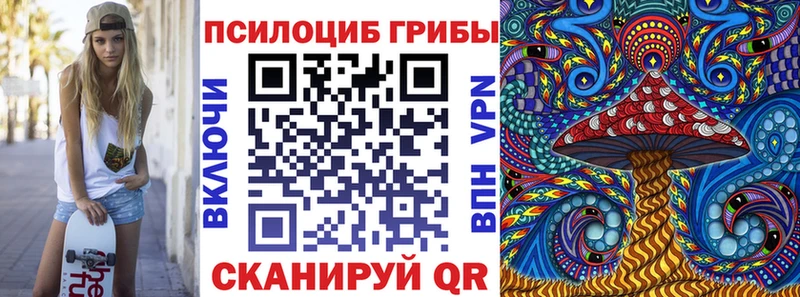 нарко площадка формула Чита Галлюциногенные грибы Magic Shrooms как найти закладки