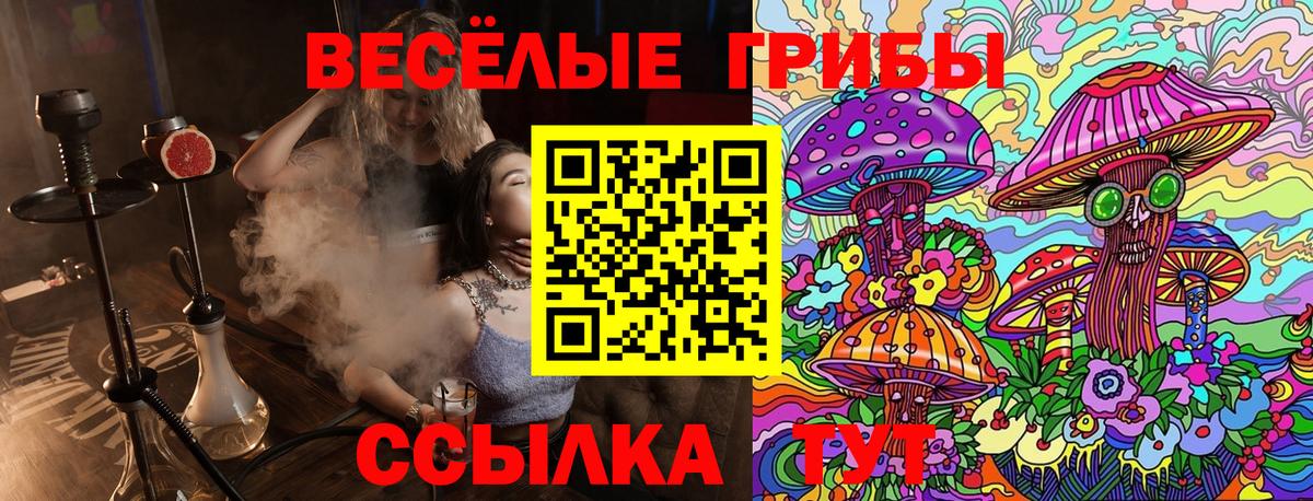 Псилоцибиновые грибы ЛСД Чита