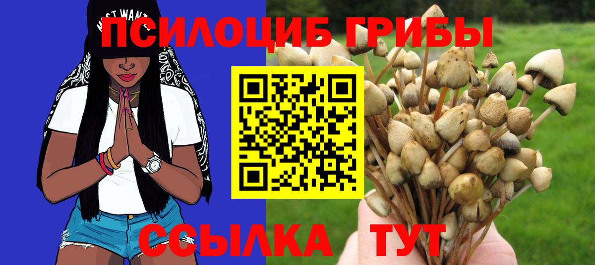 Псилоцибиновые грибы MAGIC MUSHROOMS  Чита  Псилоцибиновые грибы Cubensis 